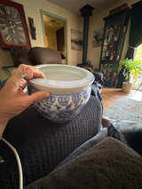 Blue and White Porcelain Fish Bowl Planter - Image 2