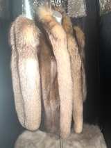 Red Fox and mink  - Image 4