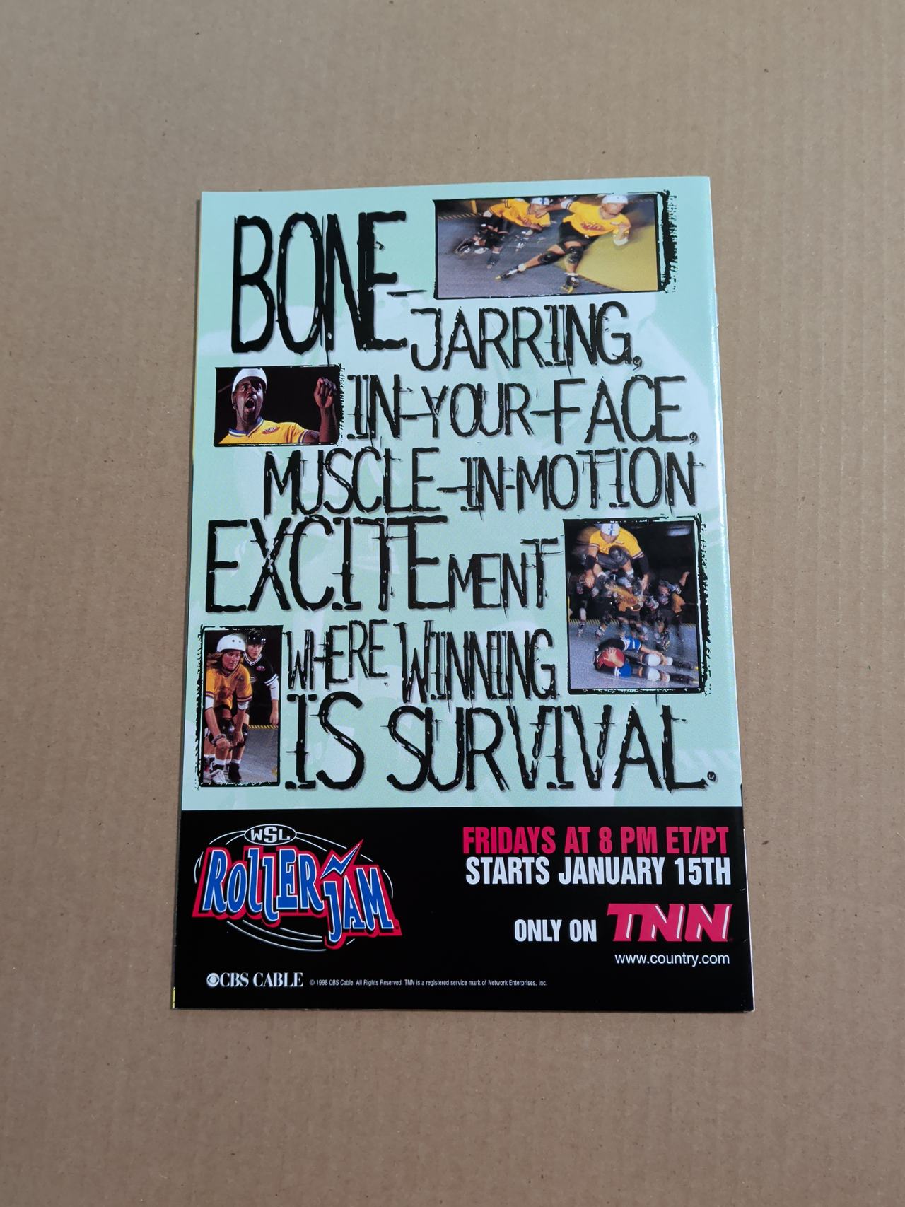 Wildcore #10 (Dec 1998)