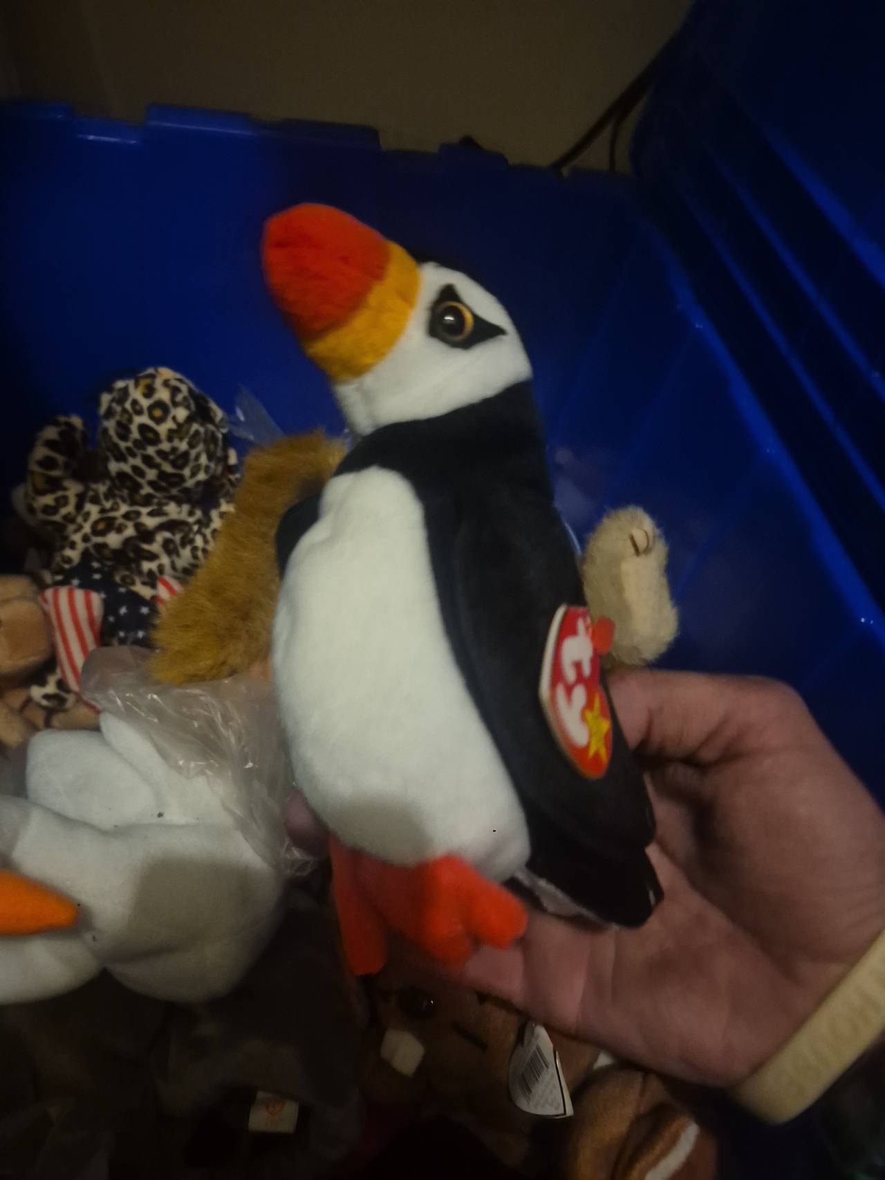 Ty Beanie Baby Puffer the Puffin