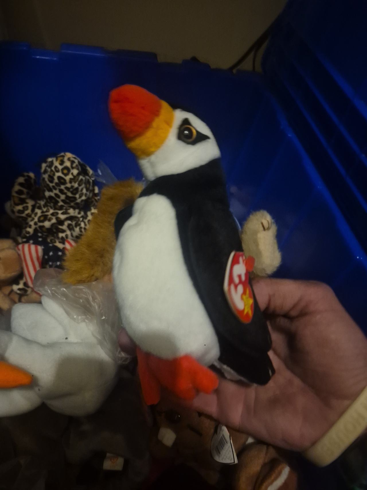 Ty Beanie Baby Puffer the Puffin