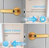 Evanshow Smart Fingerprint Door Lock Lever - Image 2