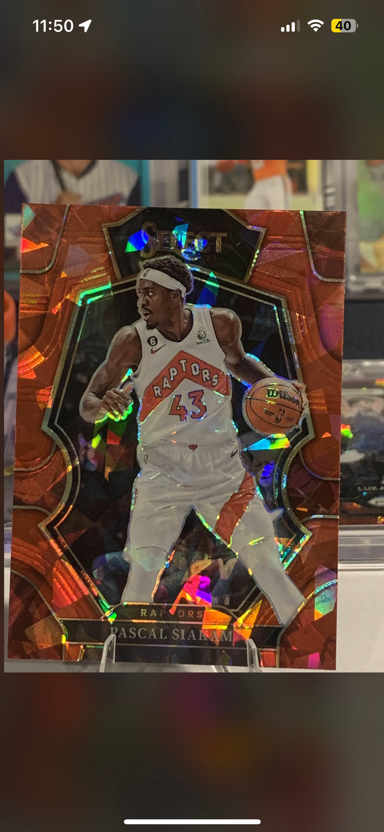 Panini Select Basketball Card