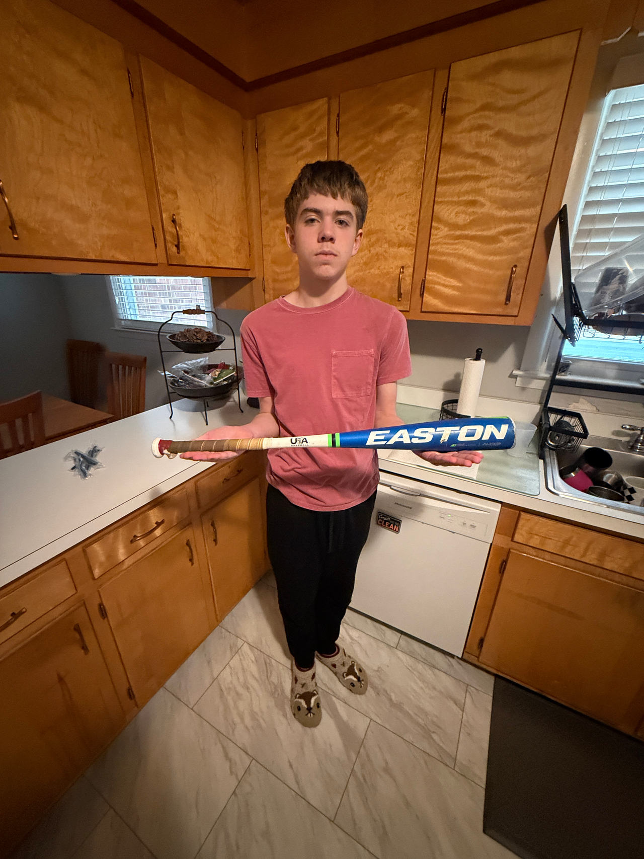 Easton S250 USA Baseball Bat