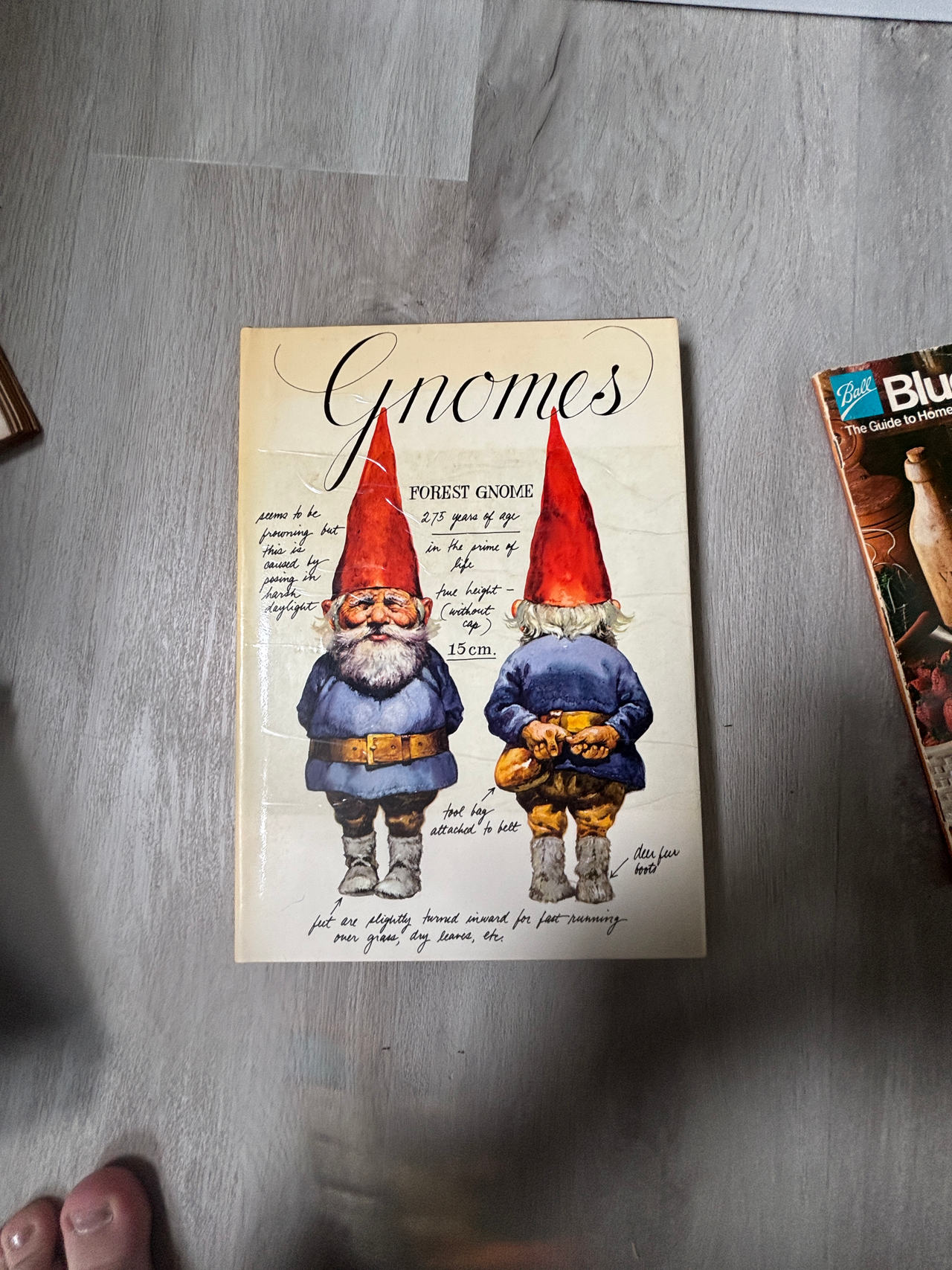 Gnomes