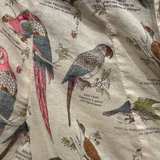 Anthropologie MAEVE pintuck cream bird print Button Lightweight Long Sleeve  - Image 5