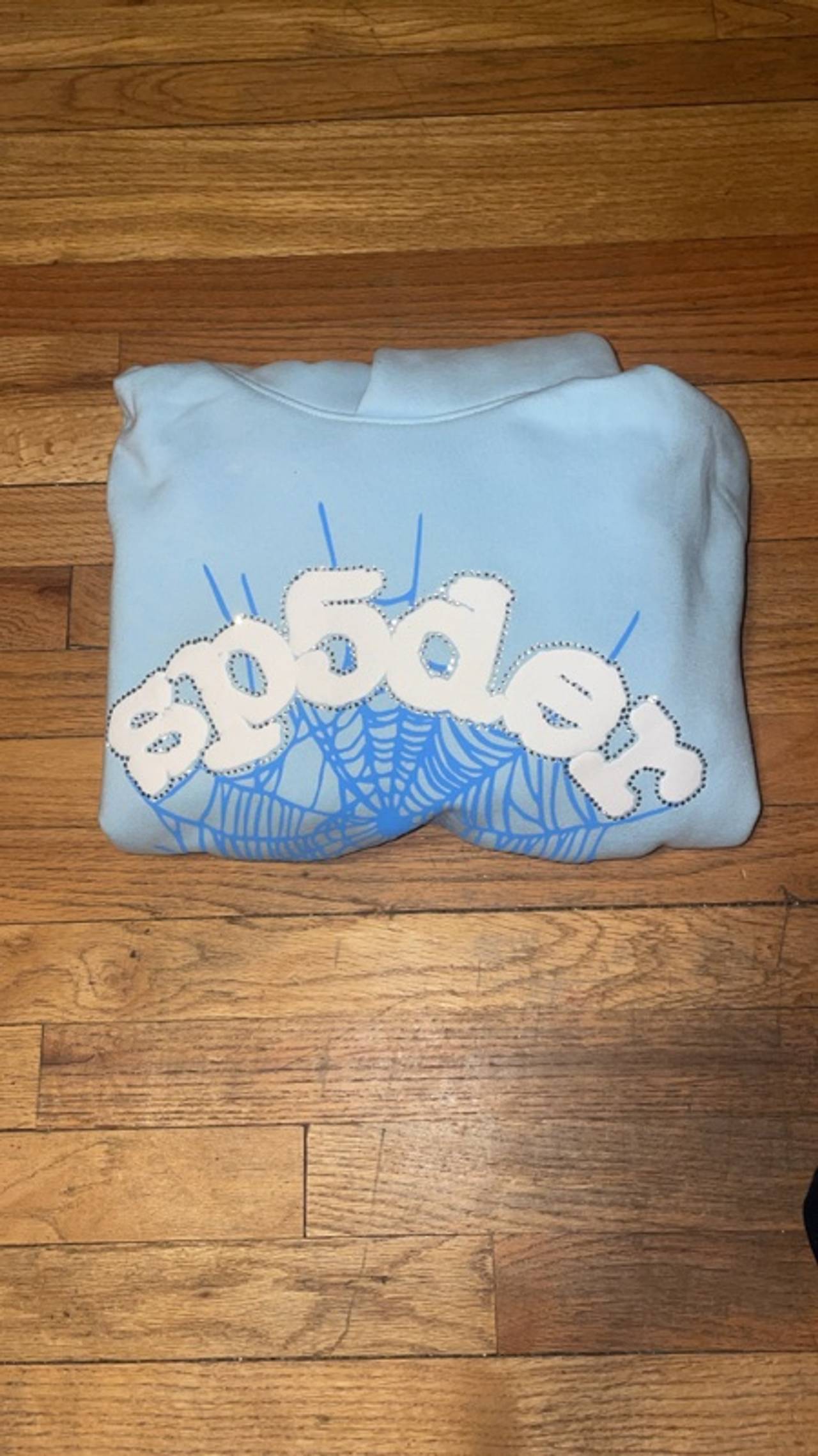 Sp5der Web Hoodie Sky Blue