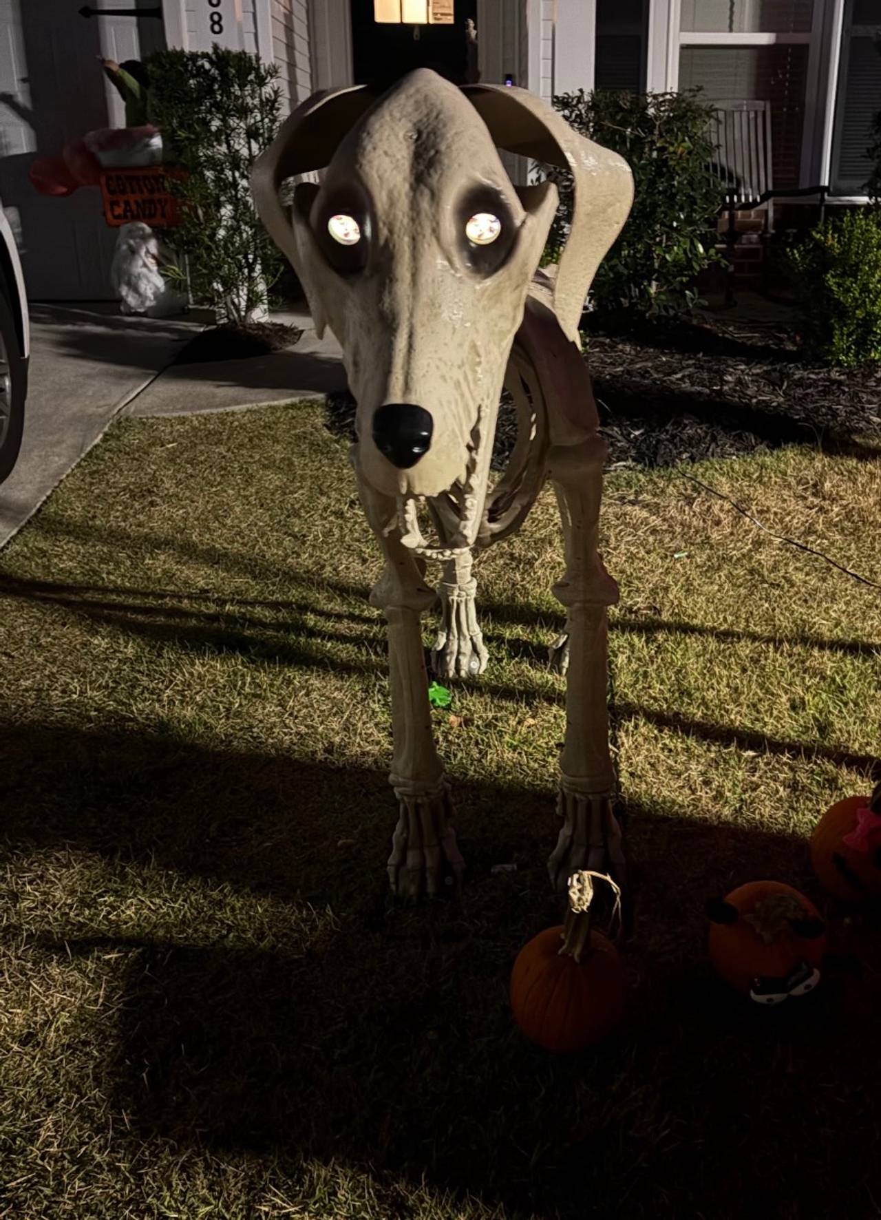 Home Accents Skelly Dog