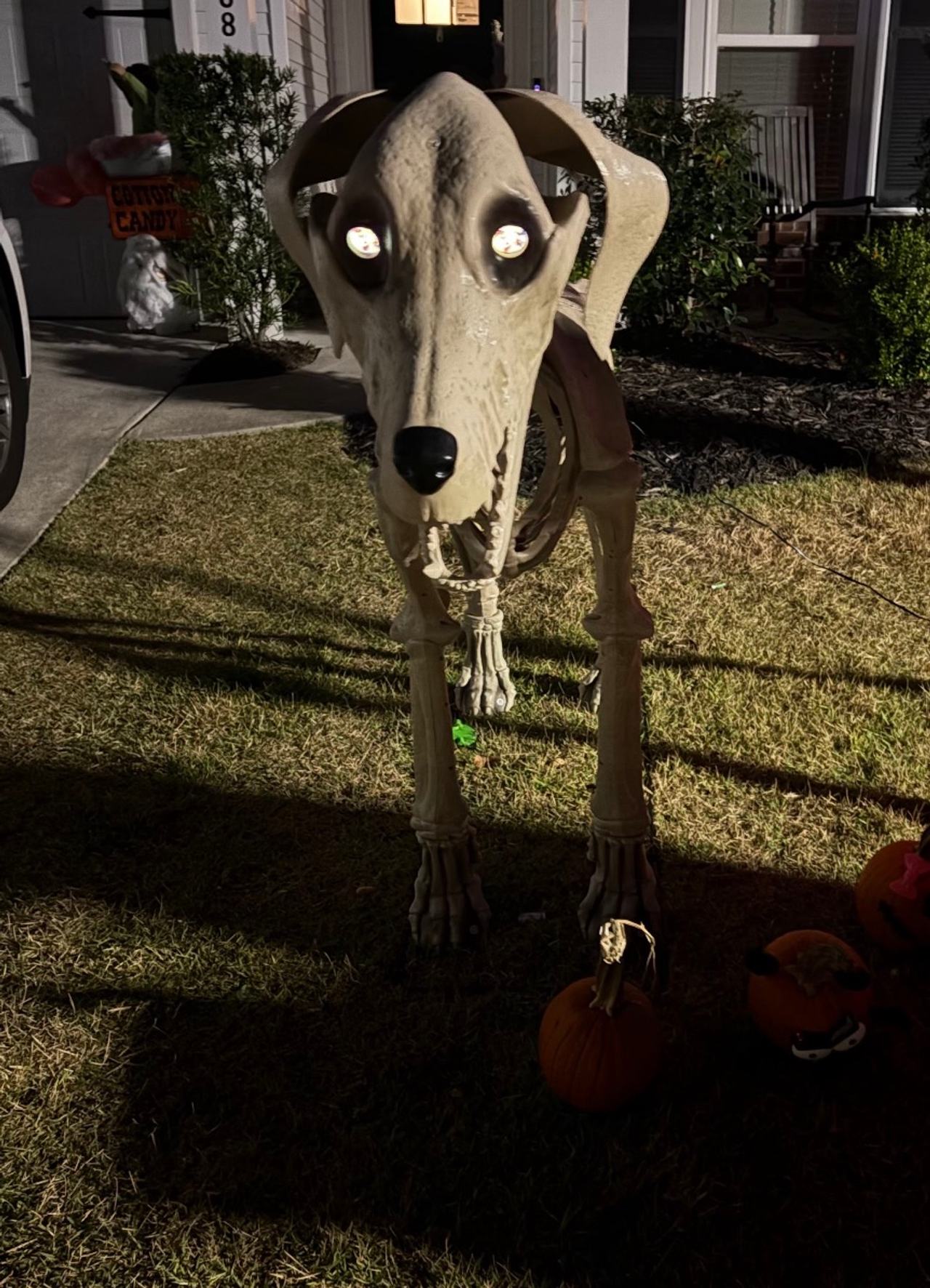 Home Accents Skelly Dog