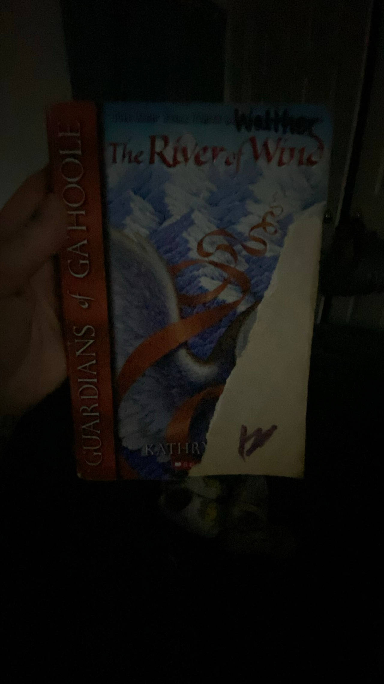 Guardians of Ga'Hoole: The River of Wind