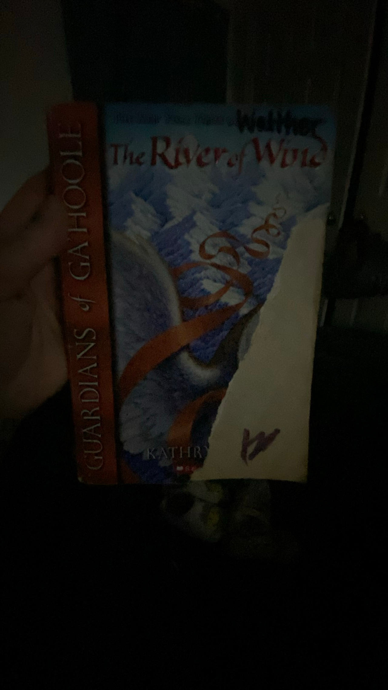 Guardians of Ga'Hoole: The River of Wind