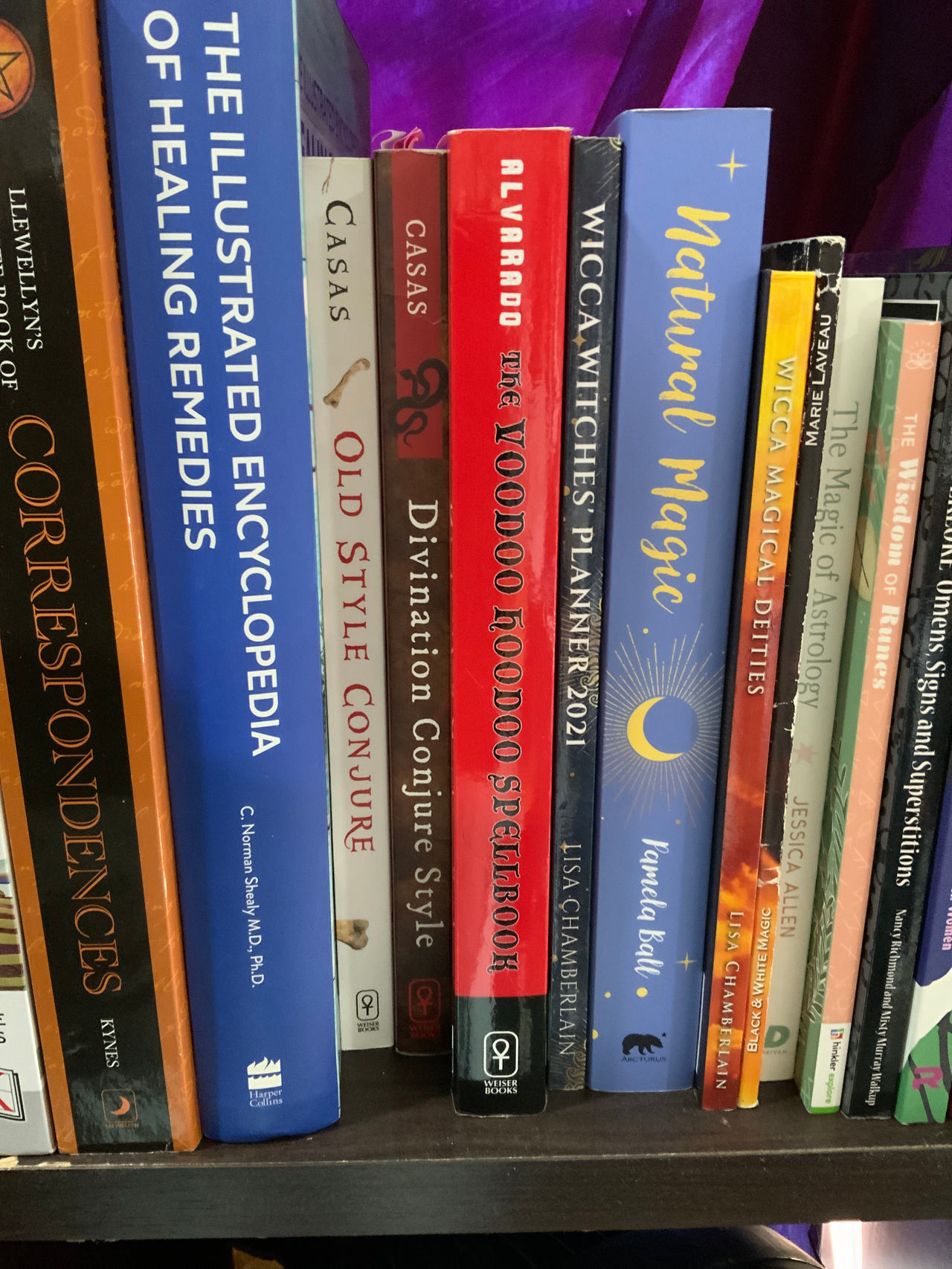 The Illustrated Encyclopedia of Healing Remedies