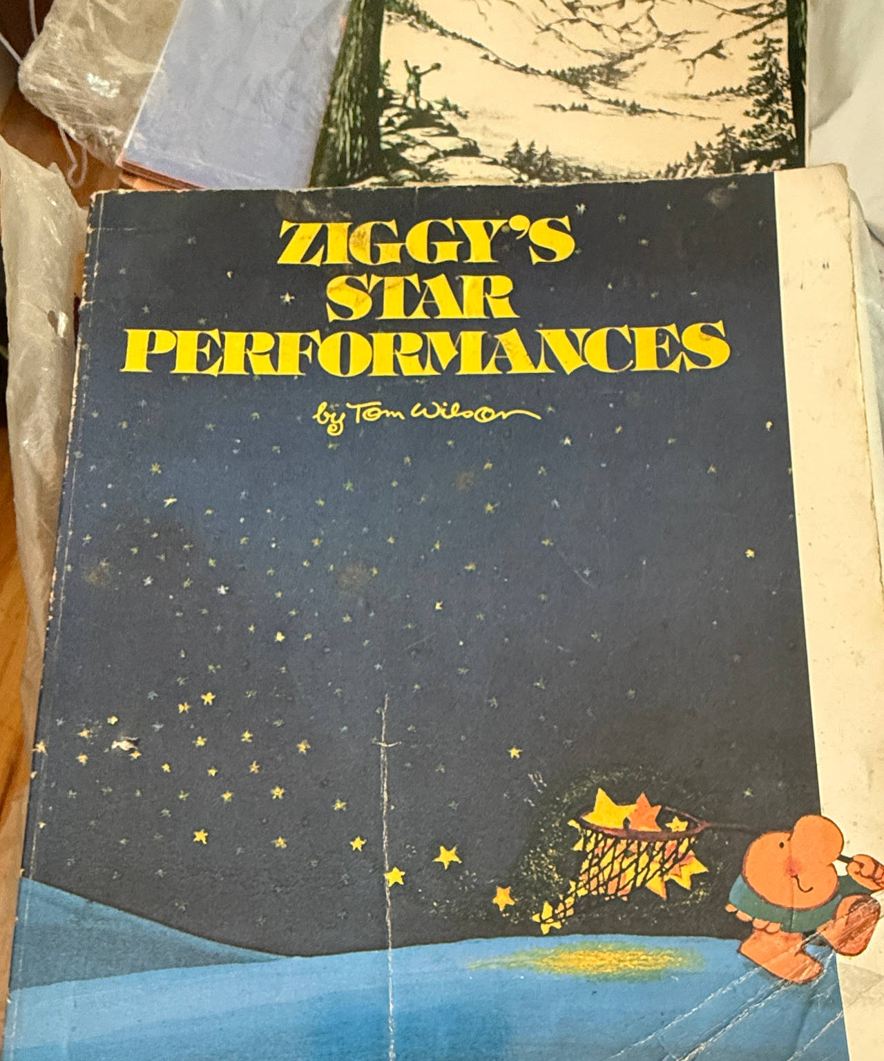 Ziggy's Star Performances by Tom Wilson