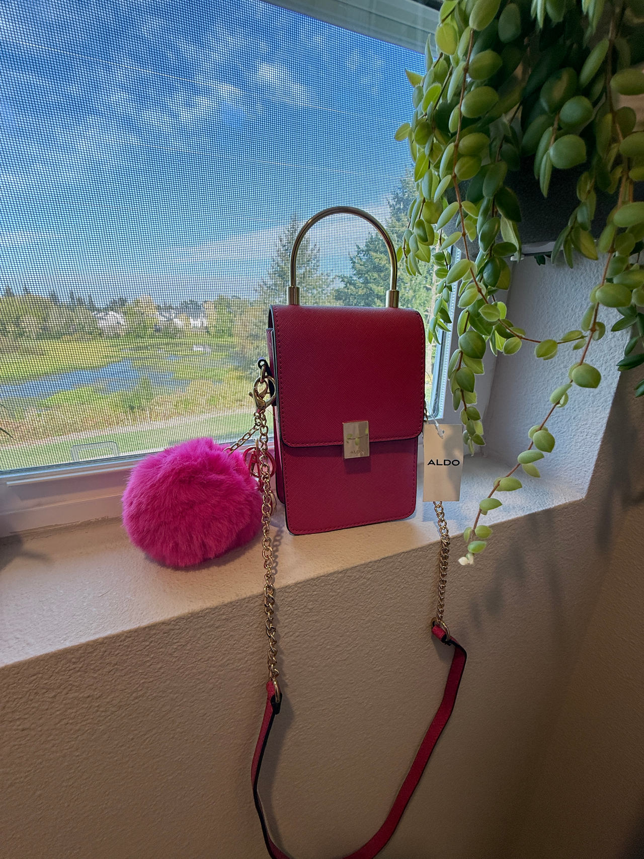 Aldo Crossbody Bag