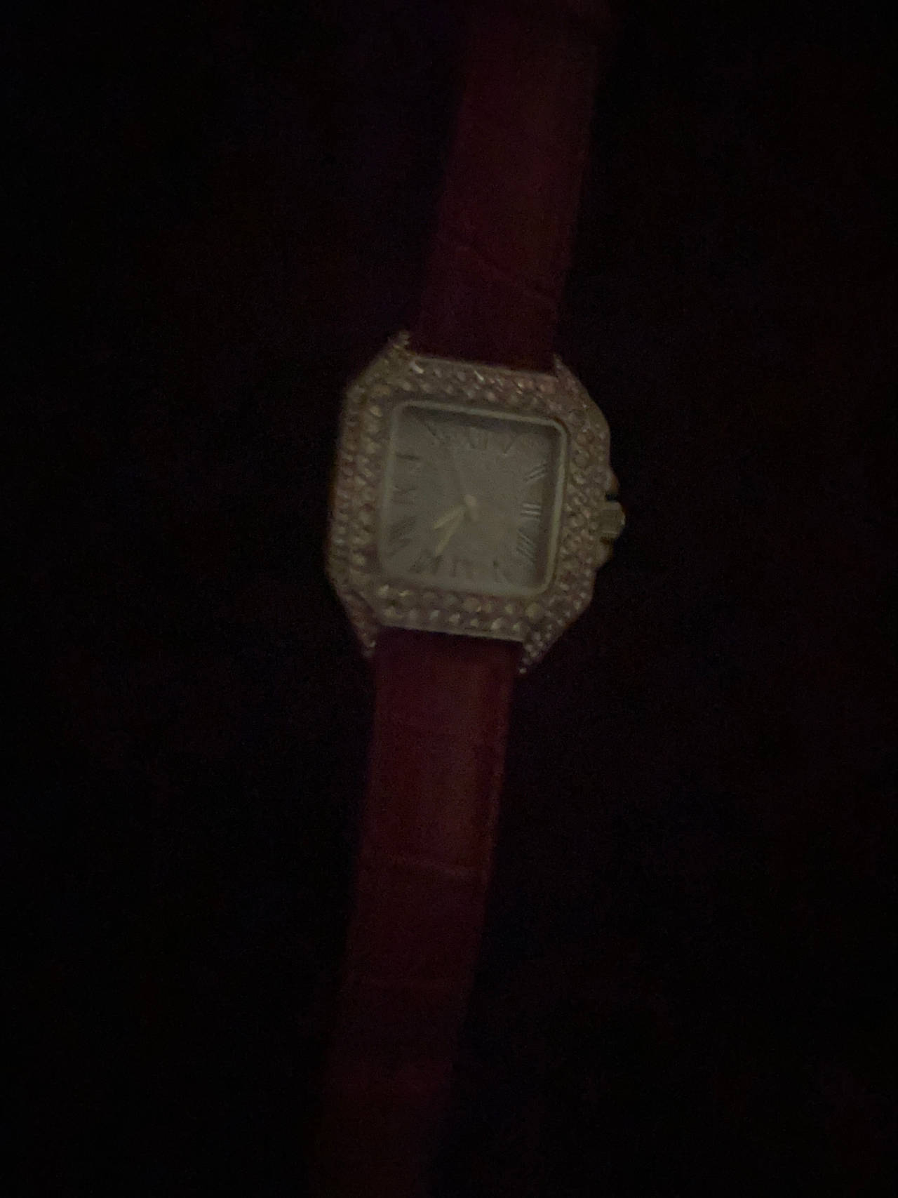 Cartier Santos