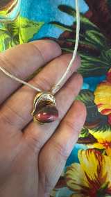 14k Yellow Gold Manatee Pendant Charm Natural Sea Shell Gold Rim Pendant - Image 7