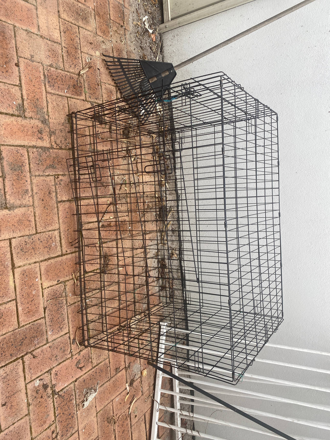 Wire Dog Crate