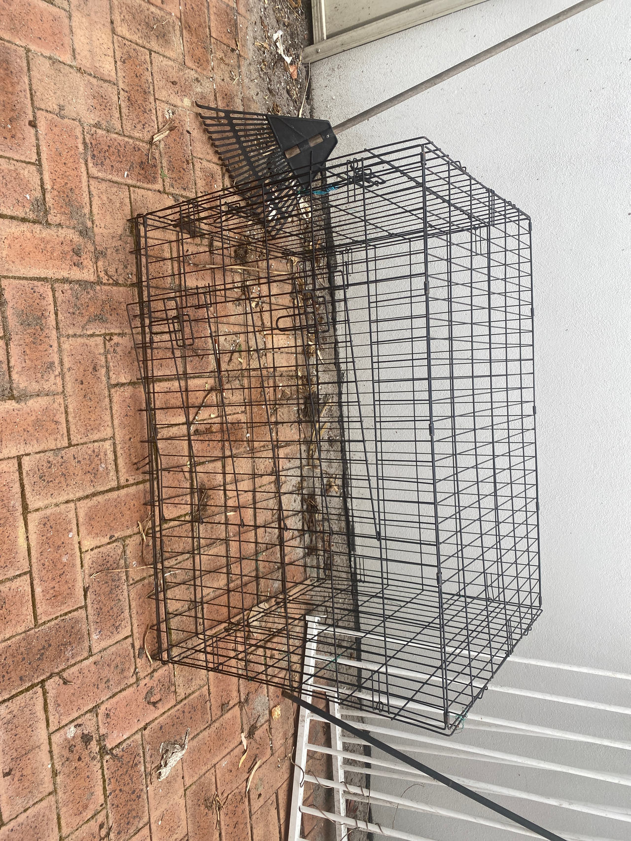 Wire Dog Crate