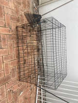 Wire Dog Crate - Image 1