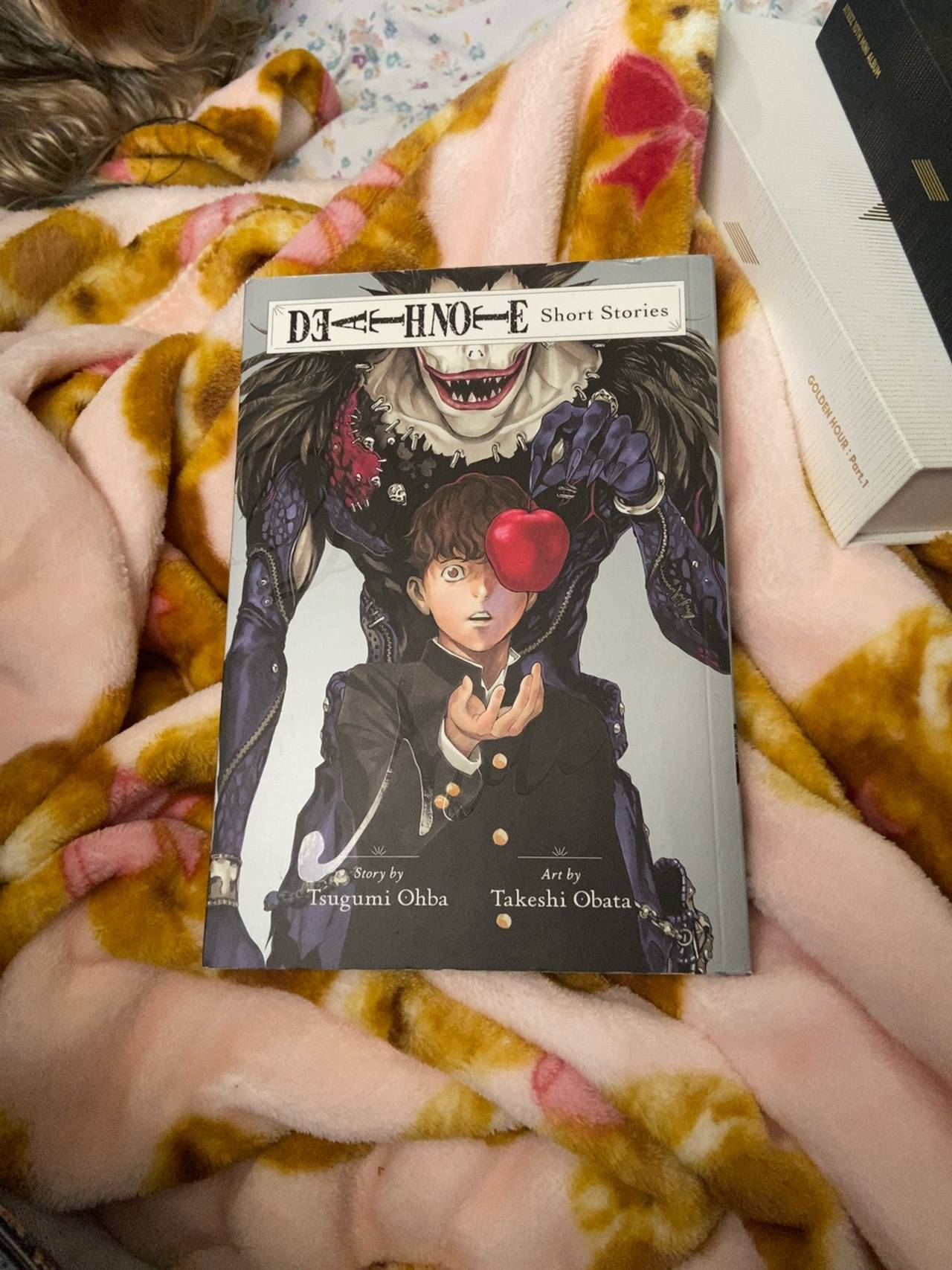 Death Note Short Stories Paperback