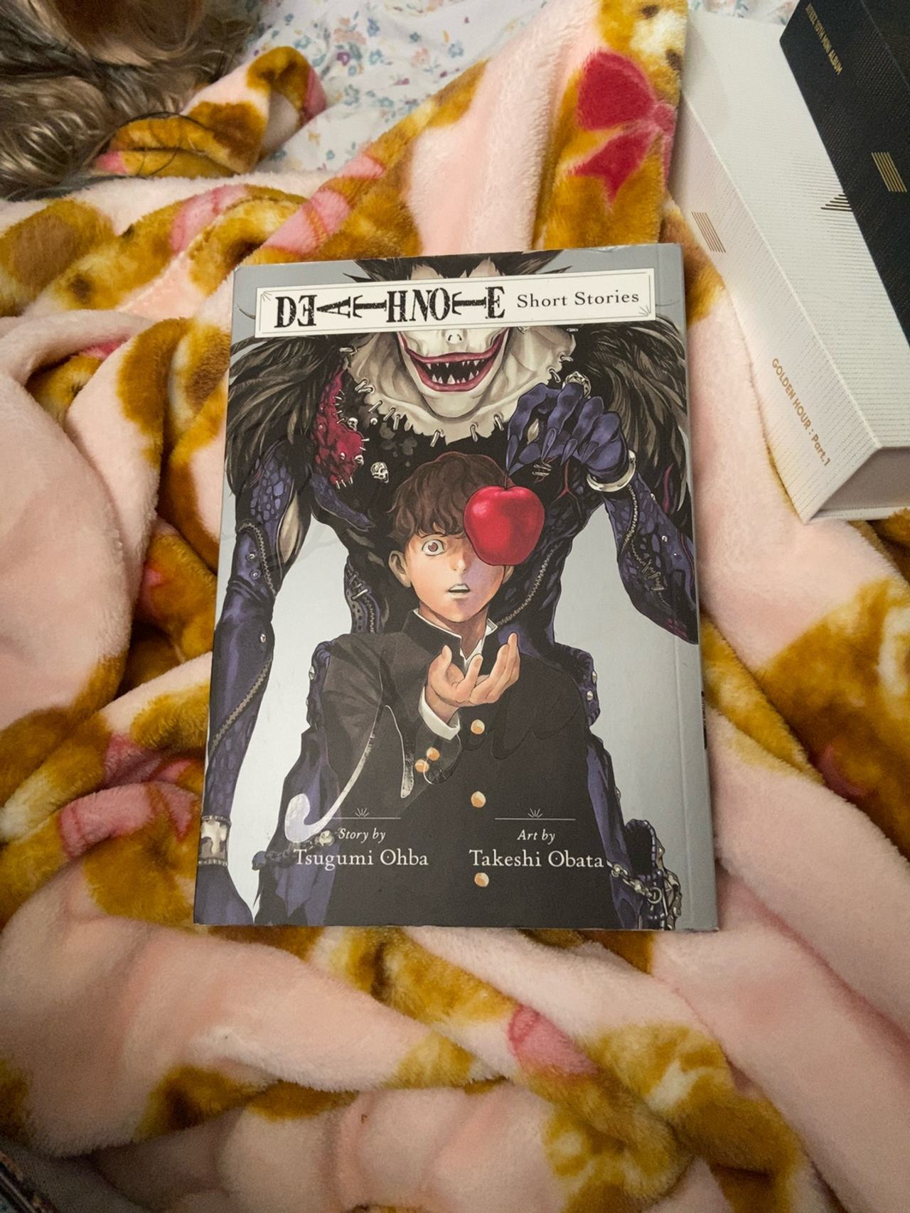 Death Note Short Stories Paperback
