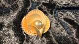 Vintage Art Deco Gold Tone Shell Brooch with Faux Pearl - Image 5
