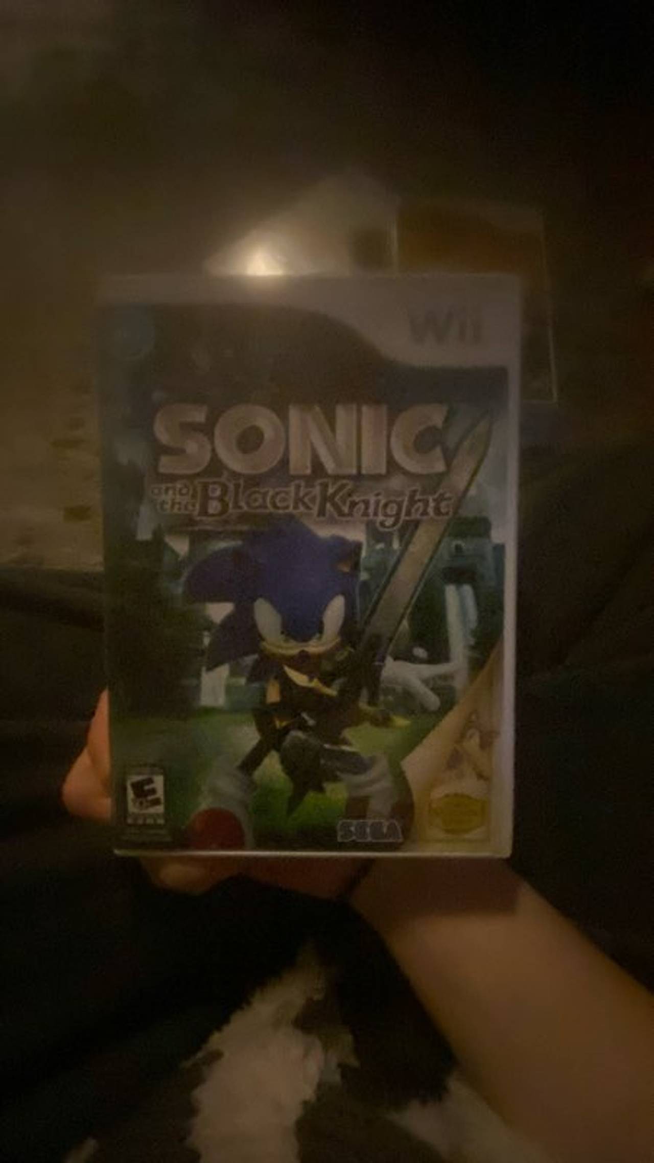 Sonic and the Black Knight