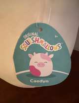 Squishmallows Caedyn the Cow Plush - Image 1
