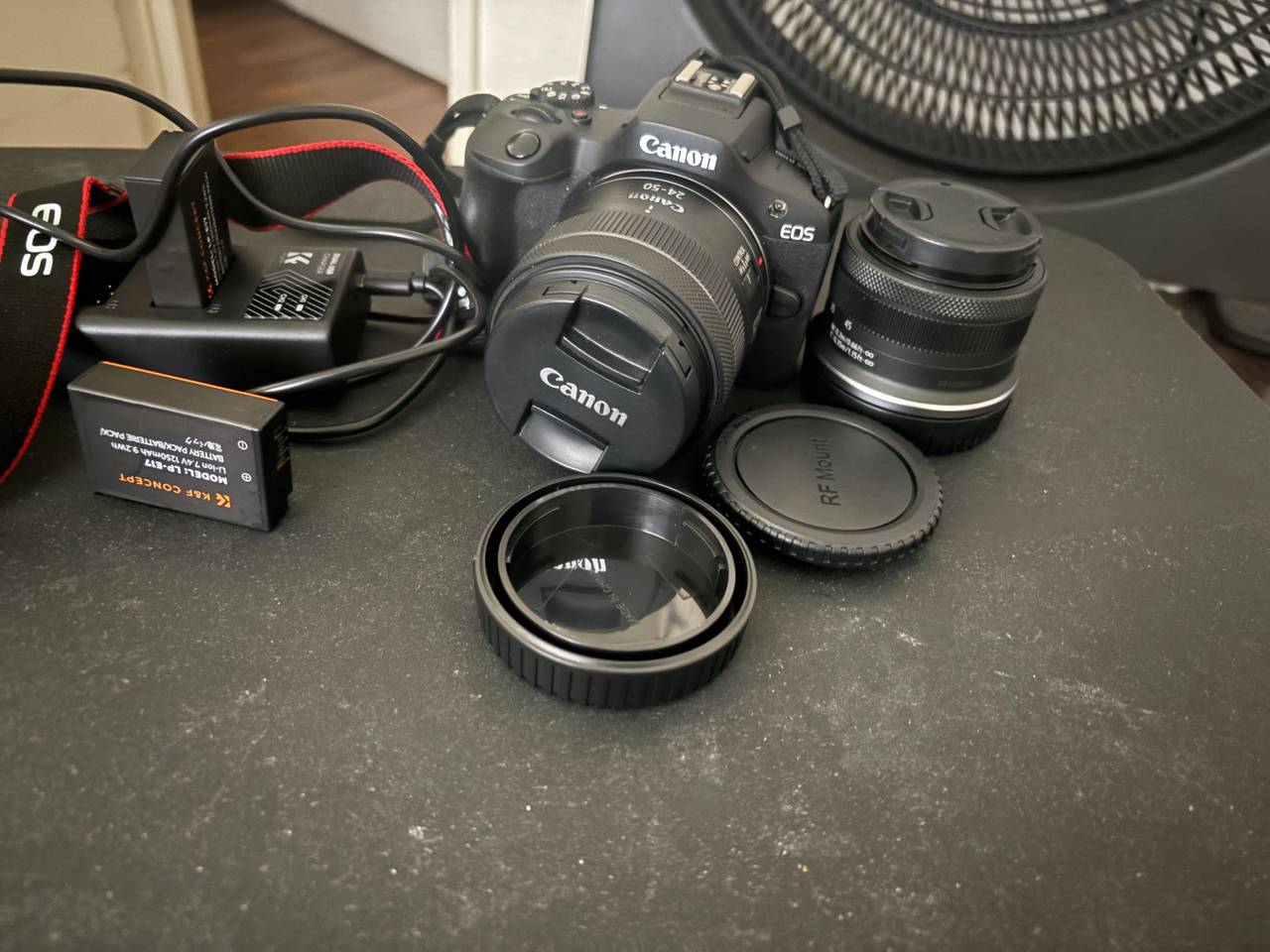 Canon EOS r100
