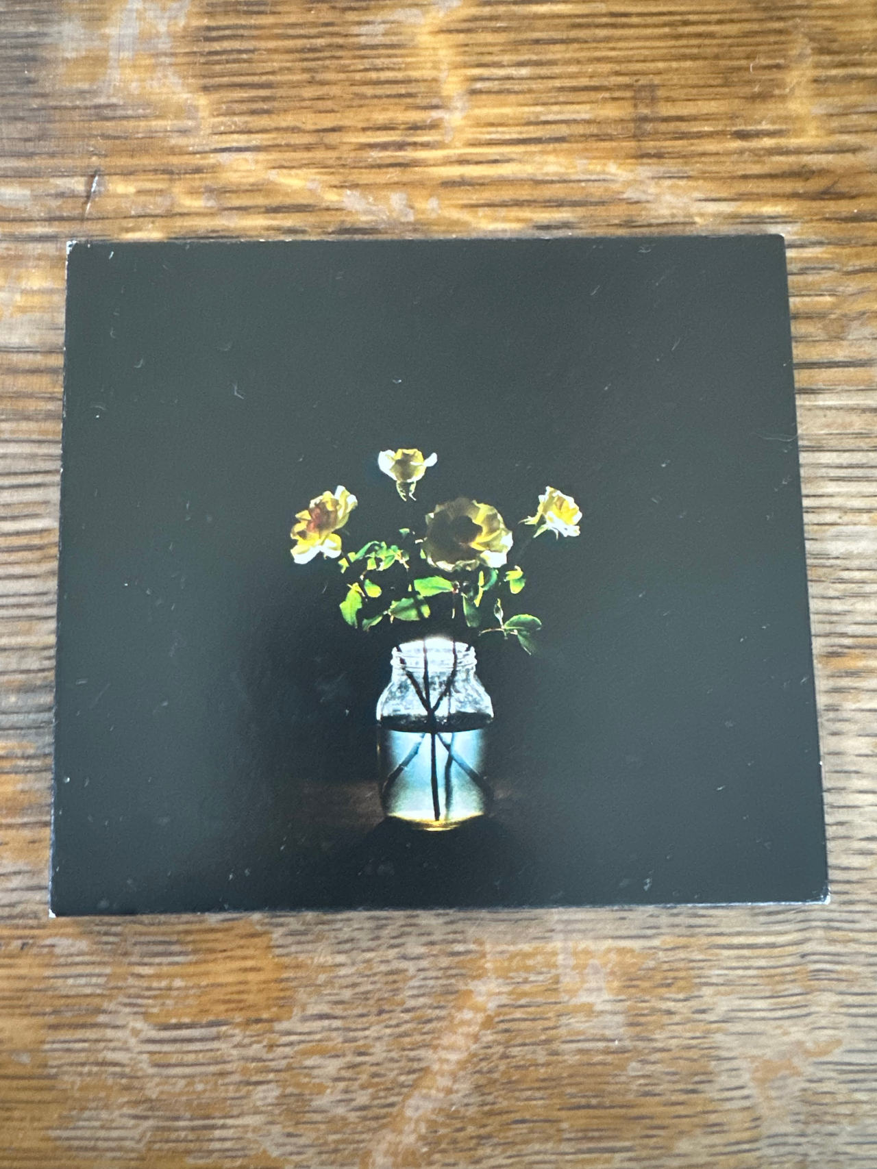Billy Strings Renewal CD