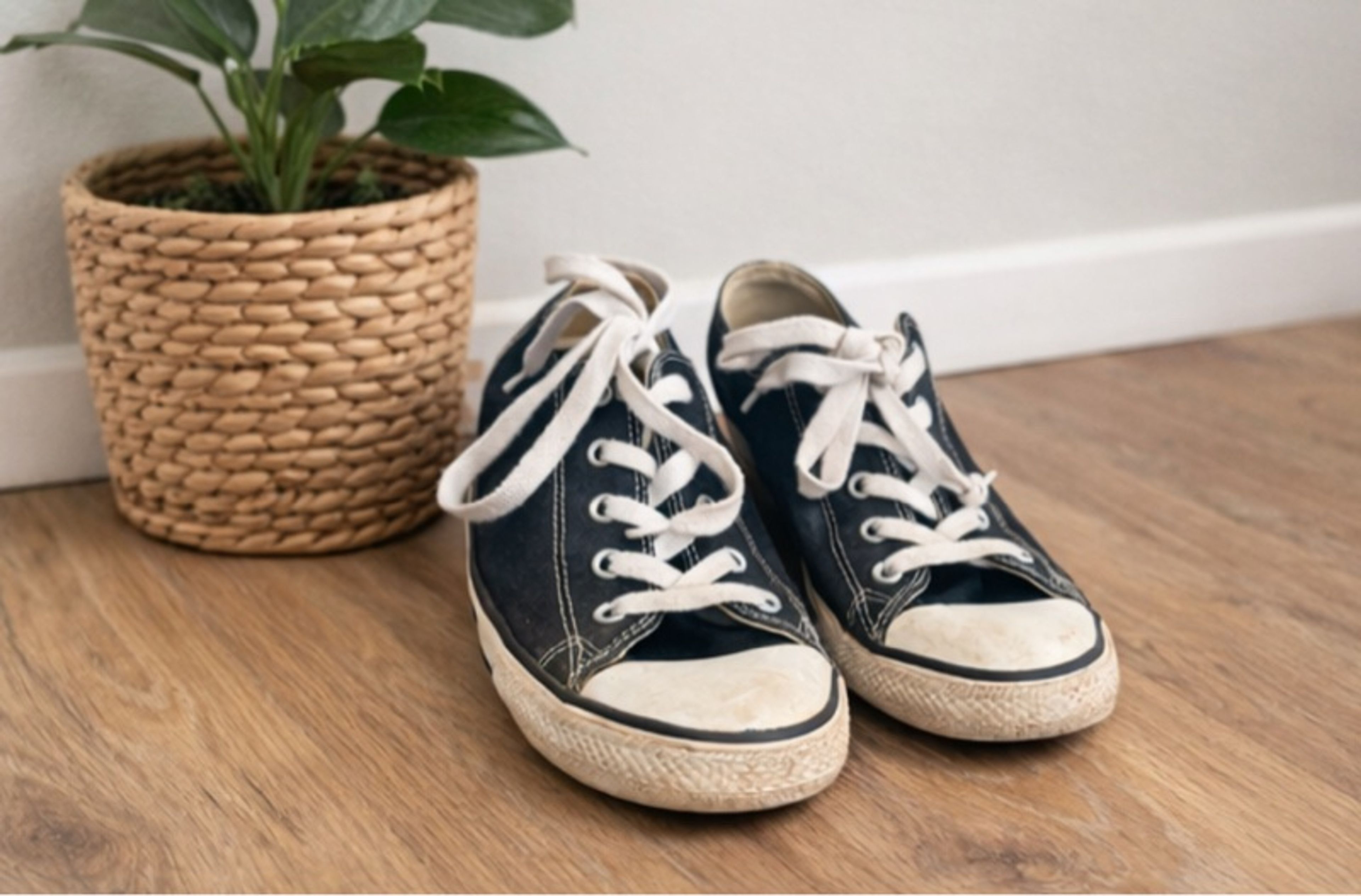 Converse Chuck Taylor All Star Low Top Black Size 8