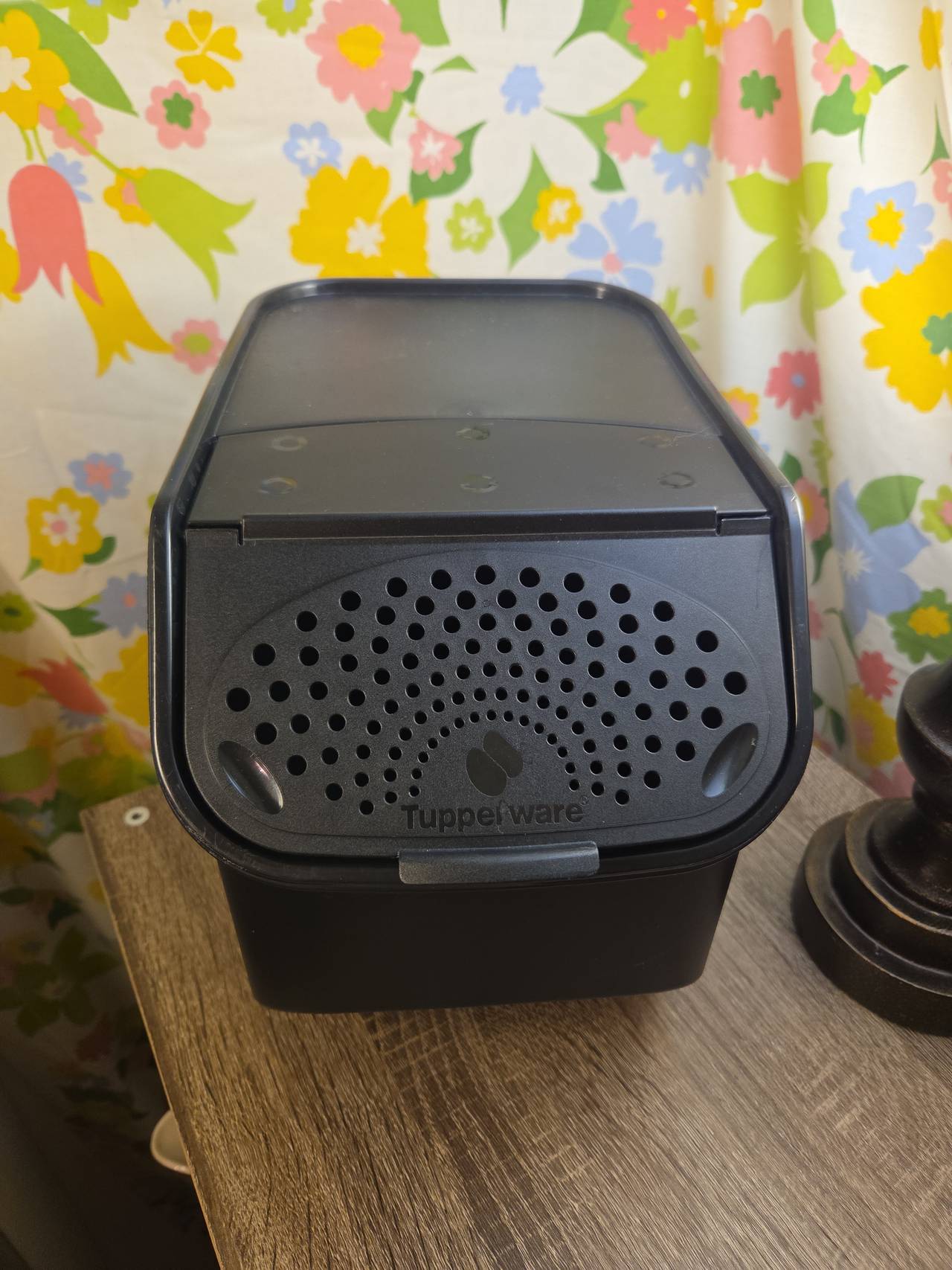 Tupperware Onion & Garlic Smart Container