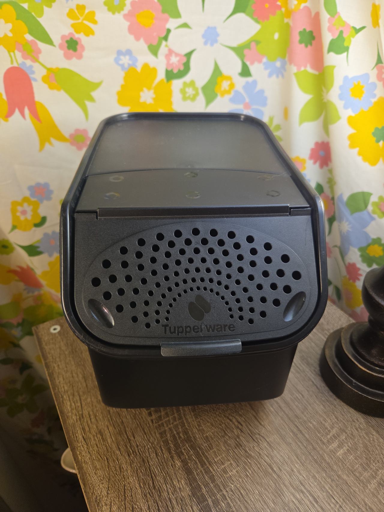 Tupperware Onion & Garlic Smart Container