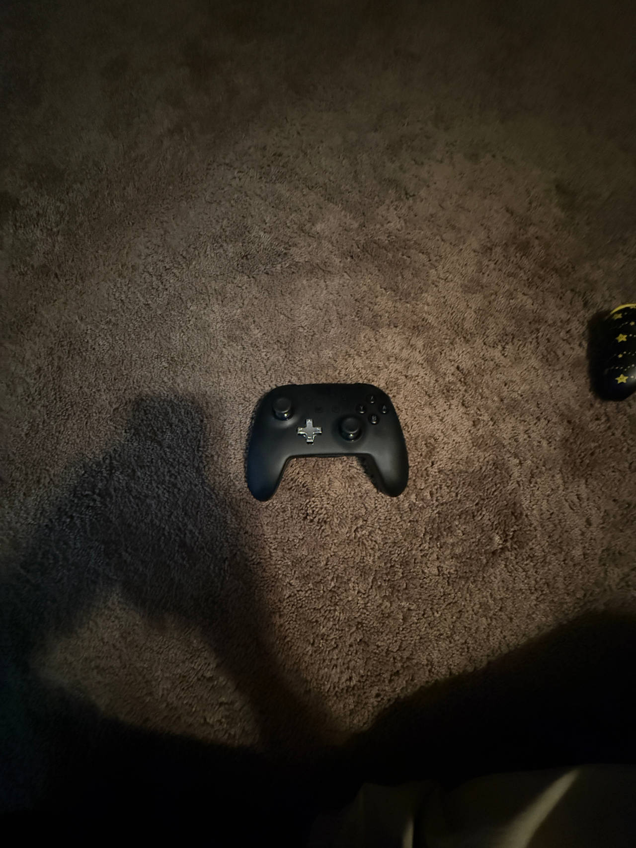 Nintendo Switch Pro Controller