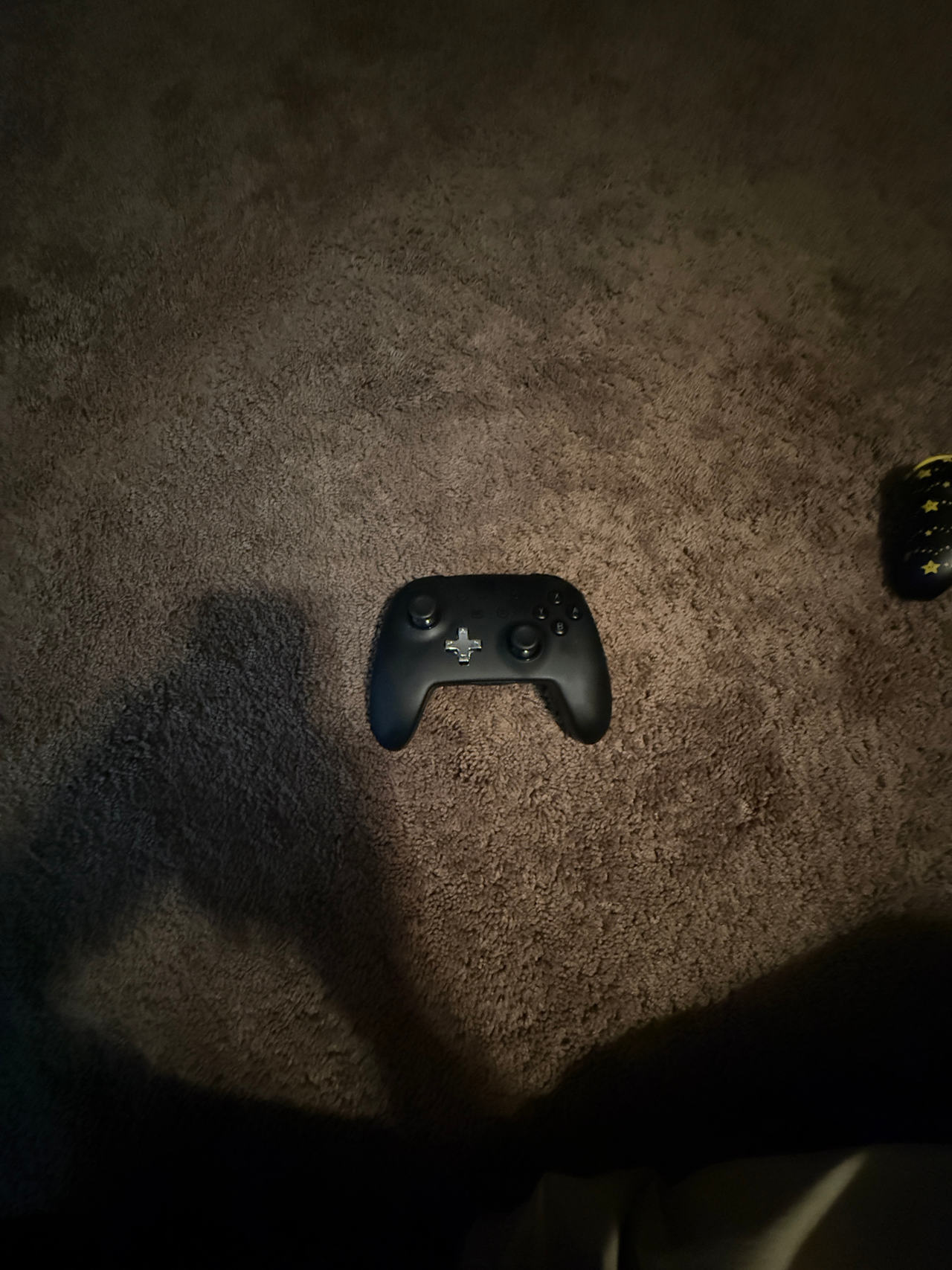 Nintendo Switch Pro Controller