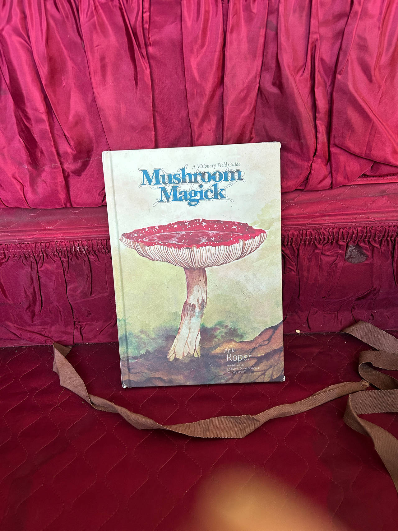 Mushroom Magick: A Visionary Field Guide by Arik Roper