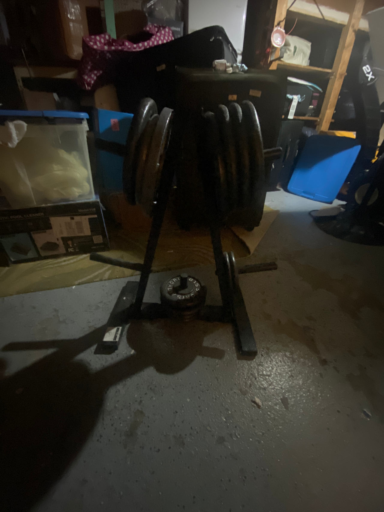 Weight Plate Tree Rack with Weight Plates