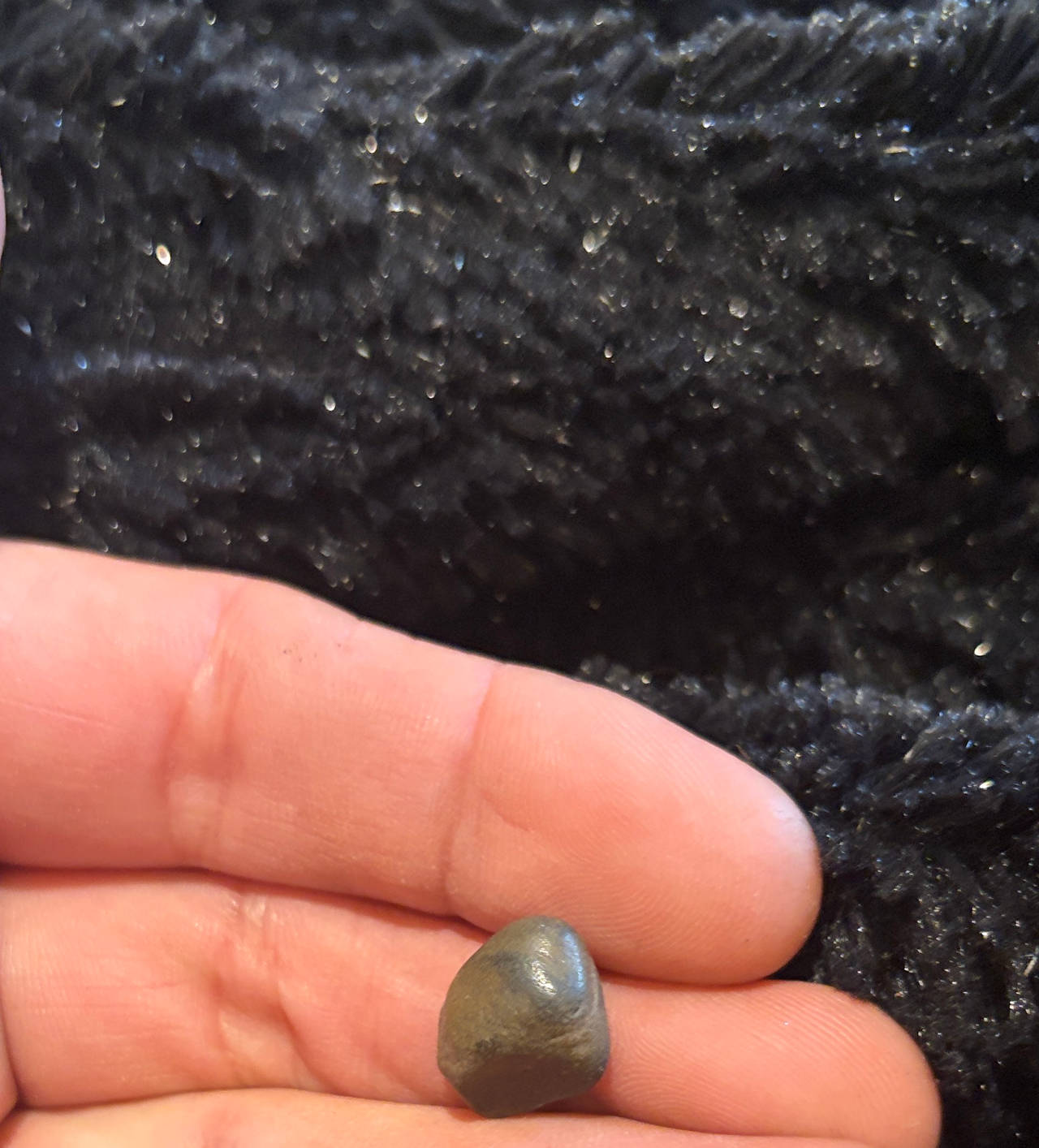 Iron-Nickel Meteorite Fragment