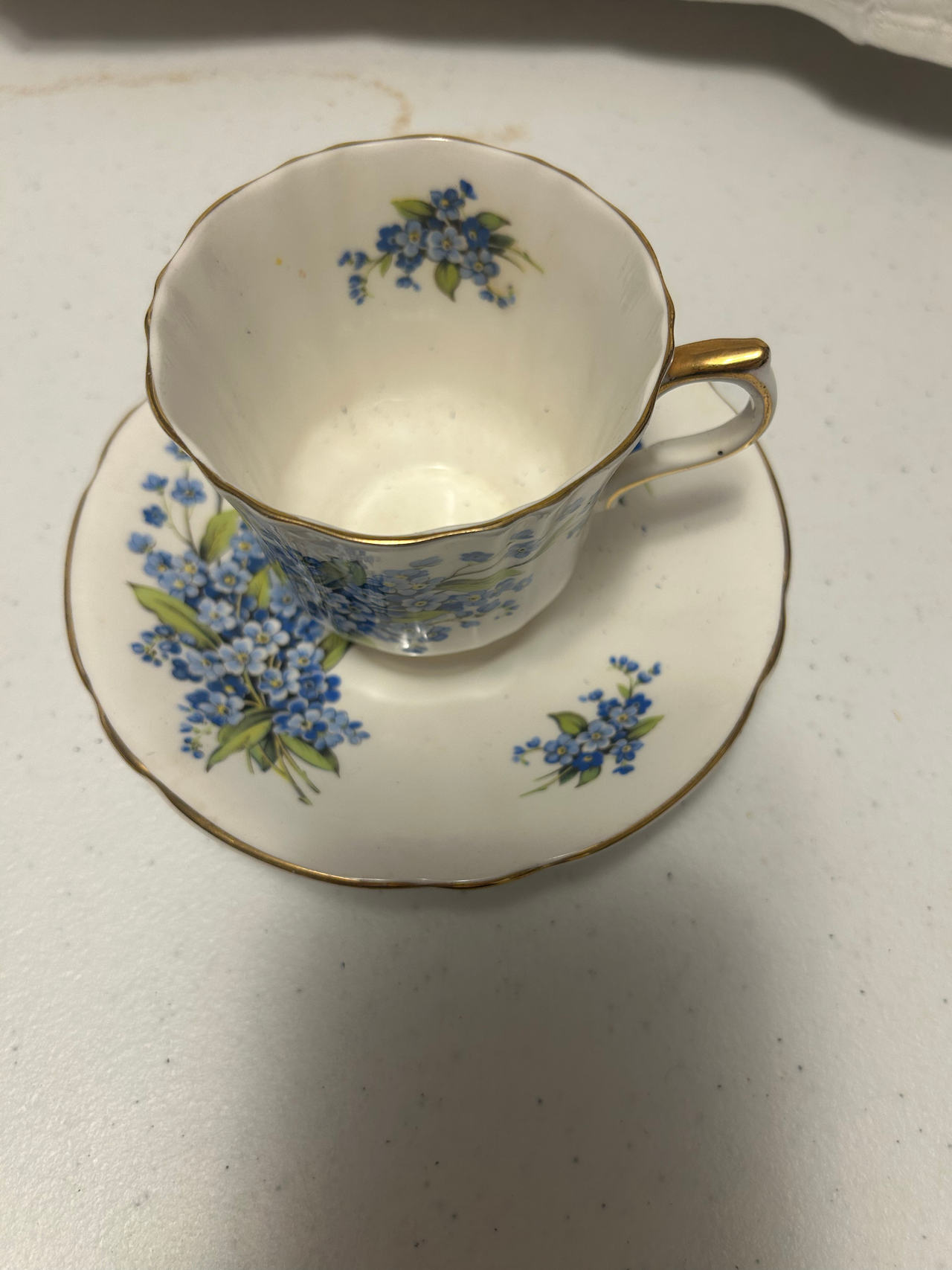 Royal Albert Forget-Me-Not Tea Cup and Saucer