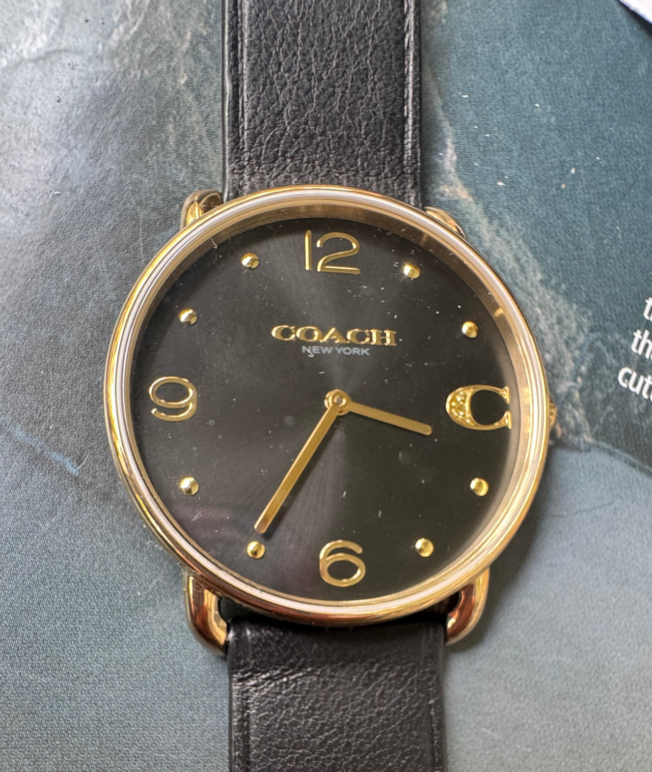 Coach Perry Black Dial Gold Tone Watch