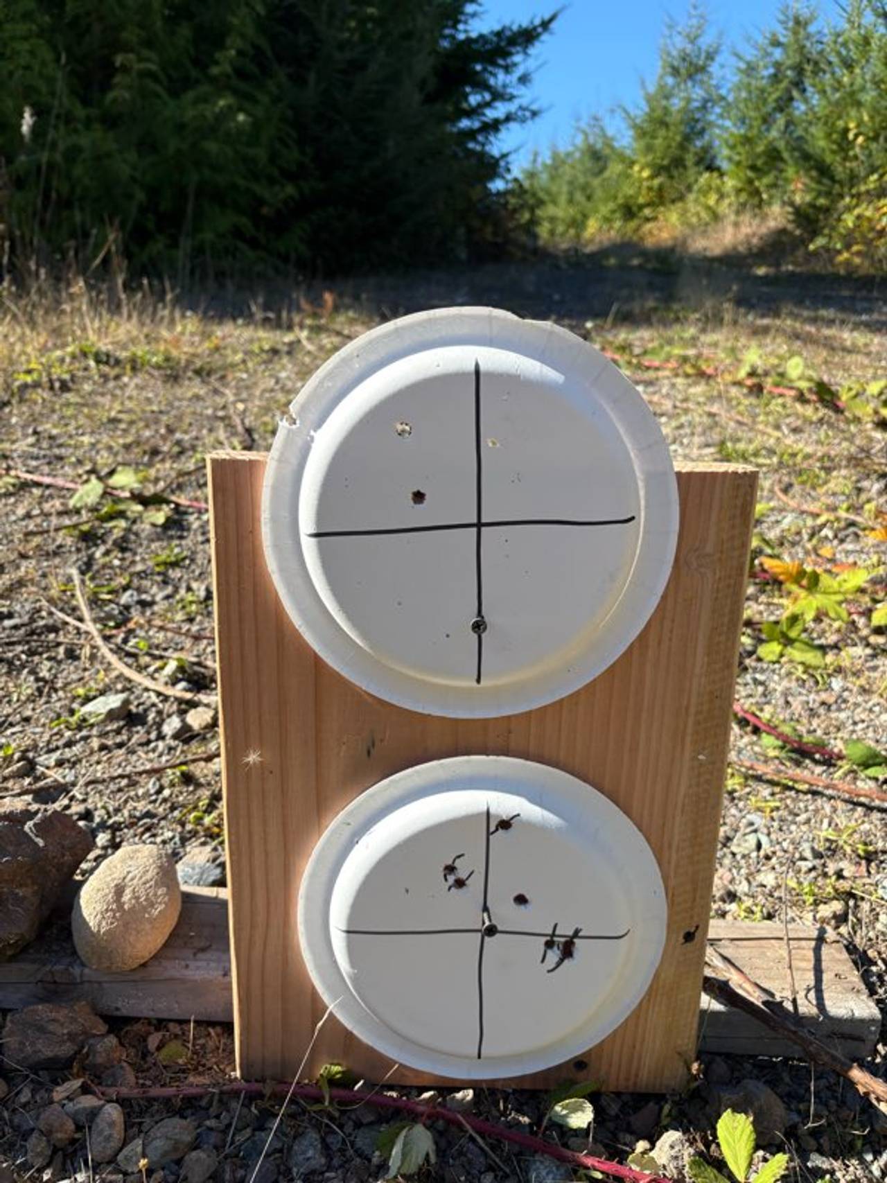 Paper Plate Shooting Target
