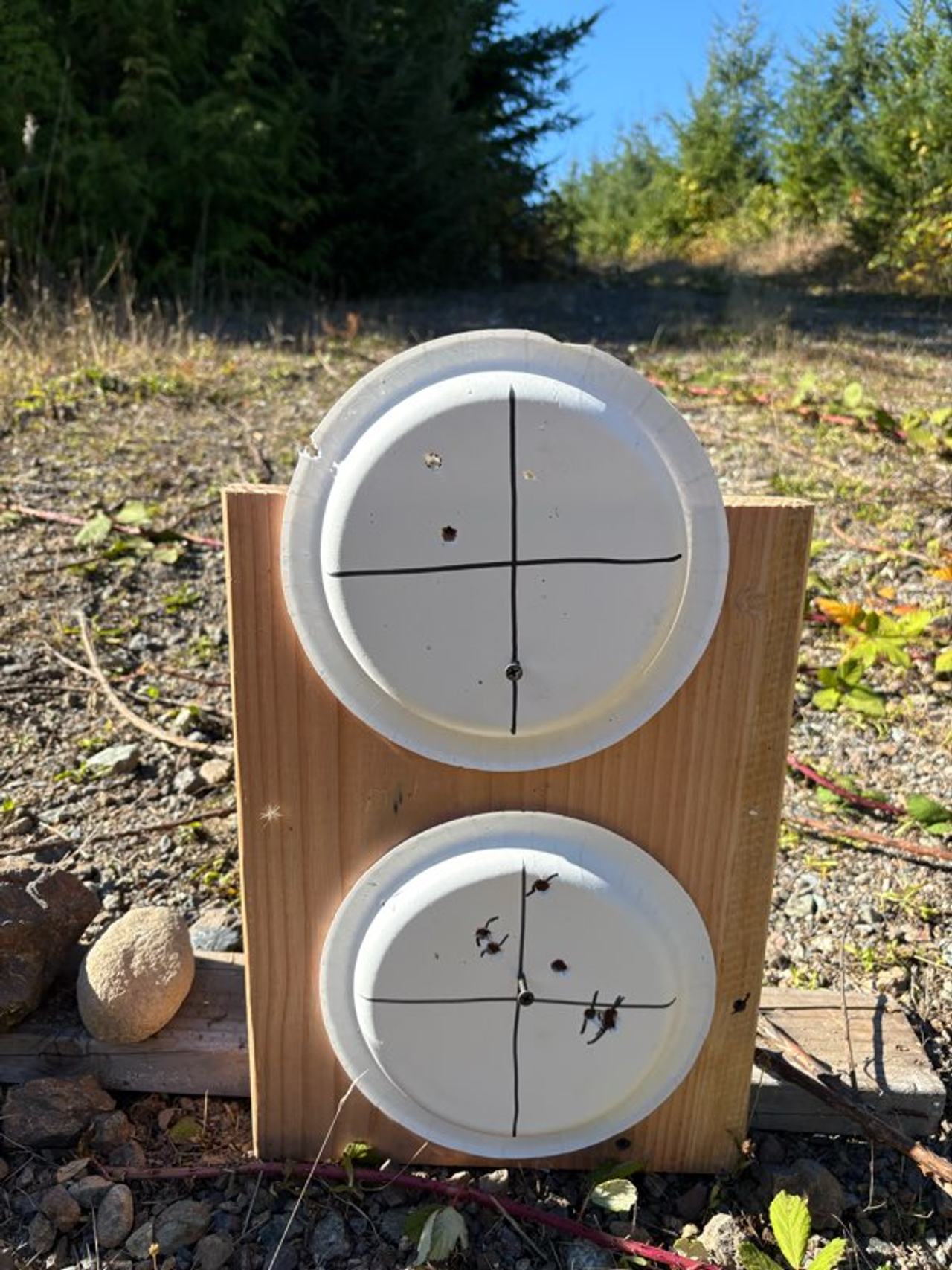 Paper Plate Shooting Target