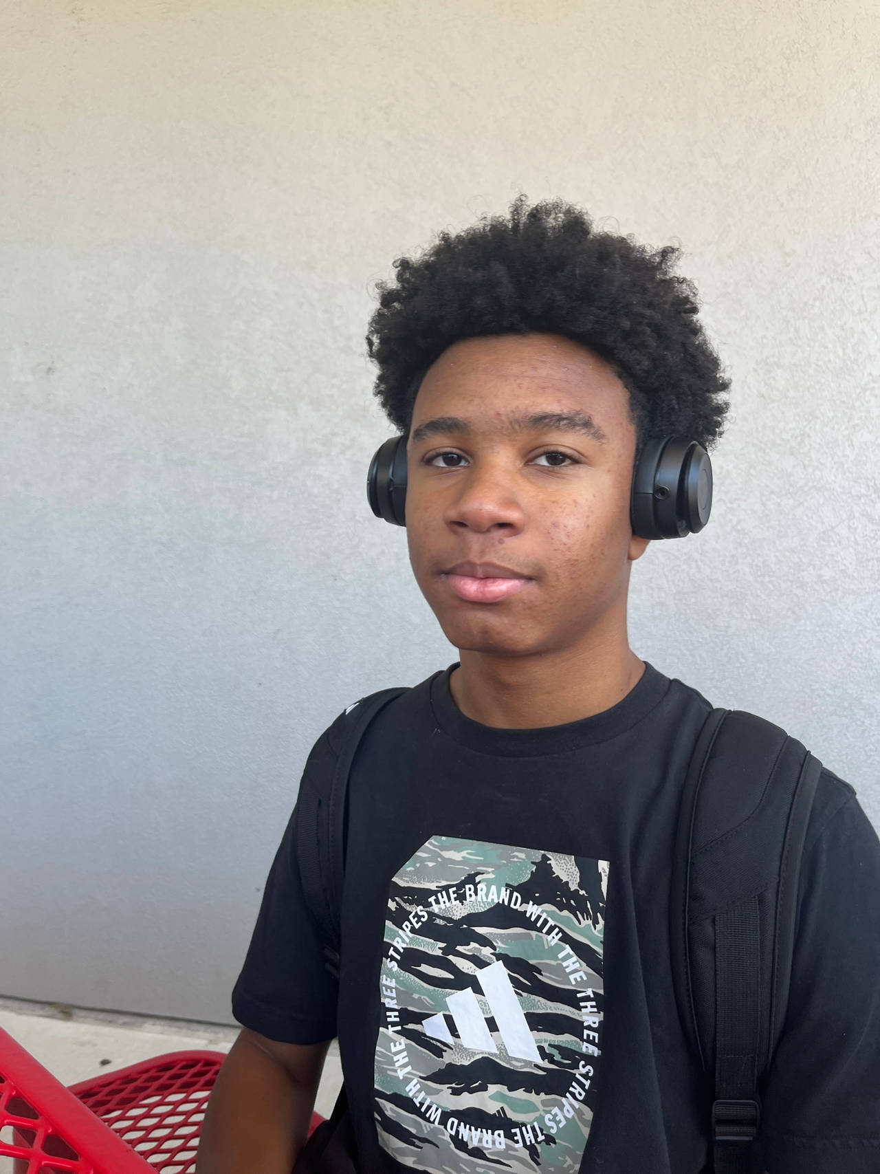 Adidas Graphic T-Shirt