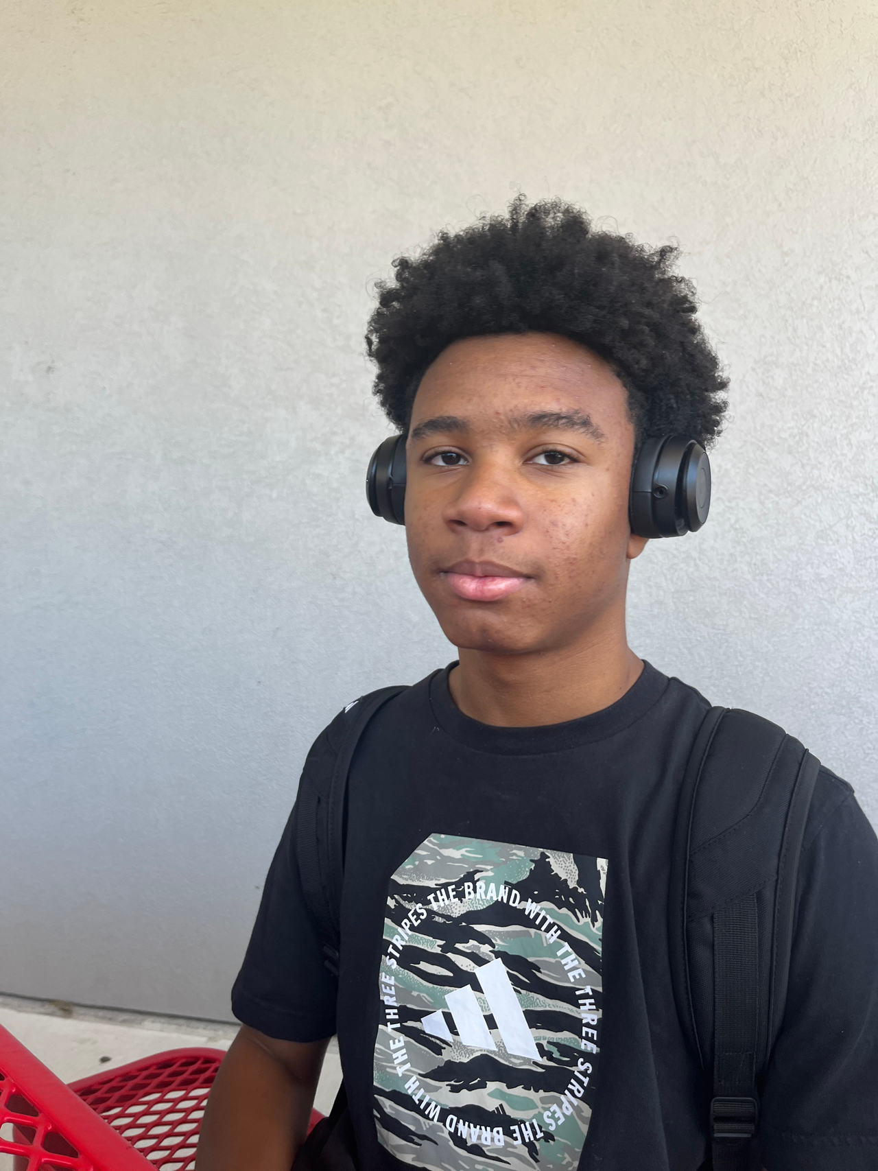 Adidas Graphic T-Shirt