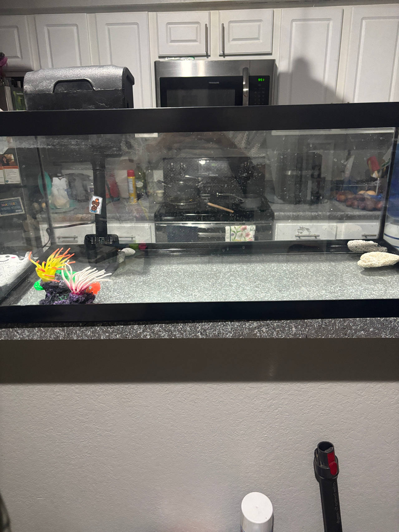 Glass Aquarium Tank