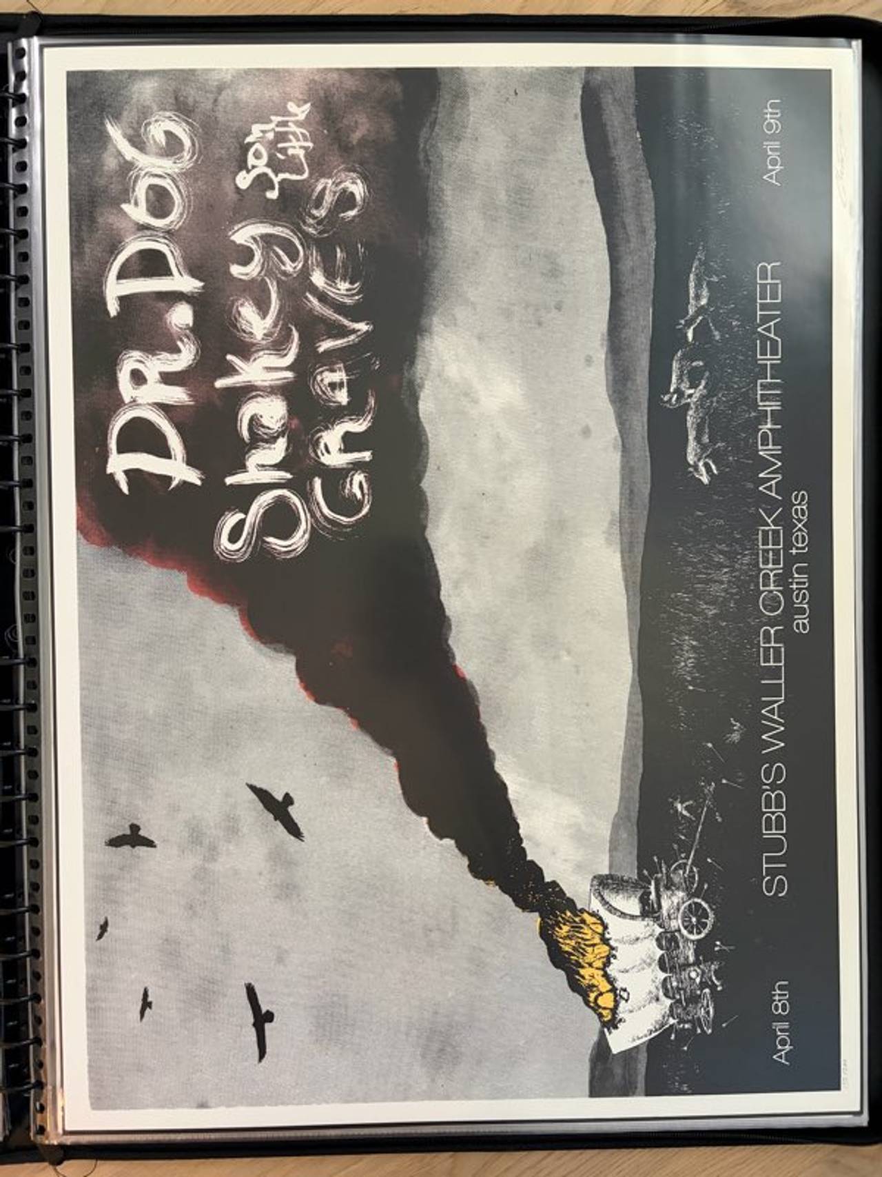 Dr. Dog & Shakey Graves Stubb's Waller Creek Amphitheater 2016 Concert Poster