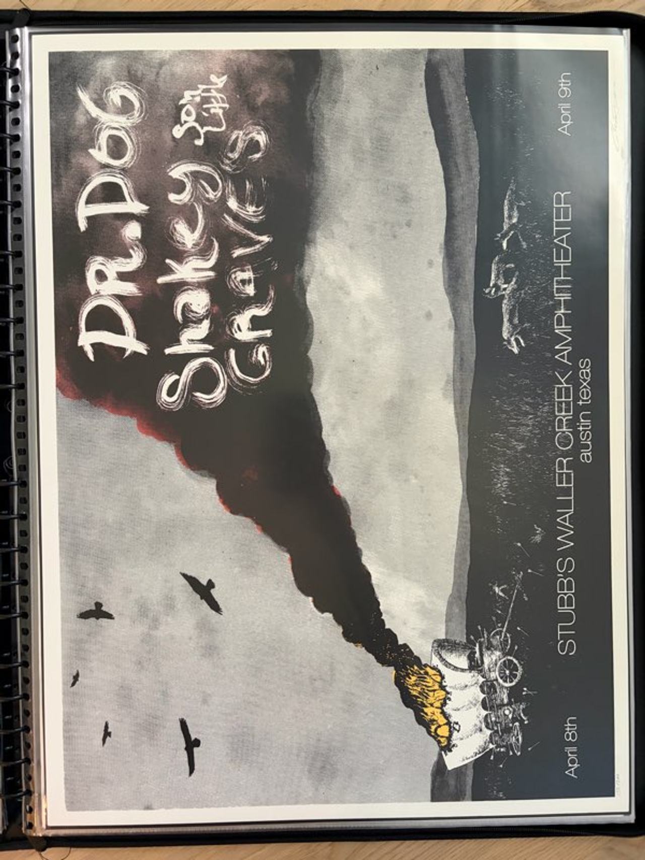 Dr. Dog & Shakey Graves Stubb's Waller Creek Amphitheater 2016 Concert Poster