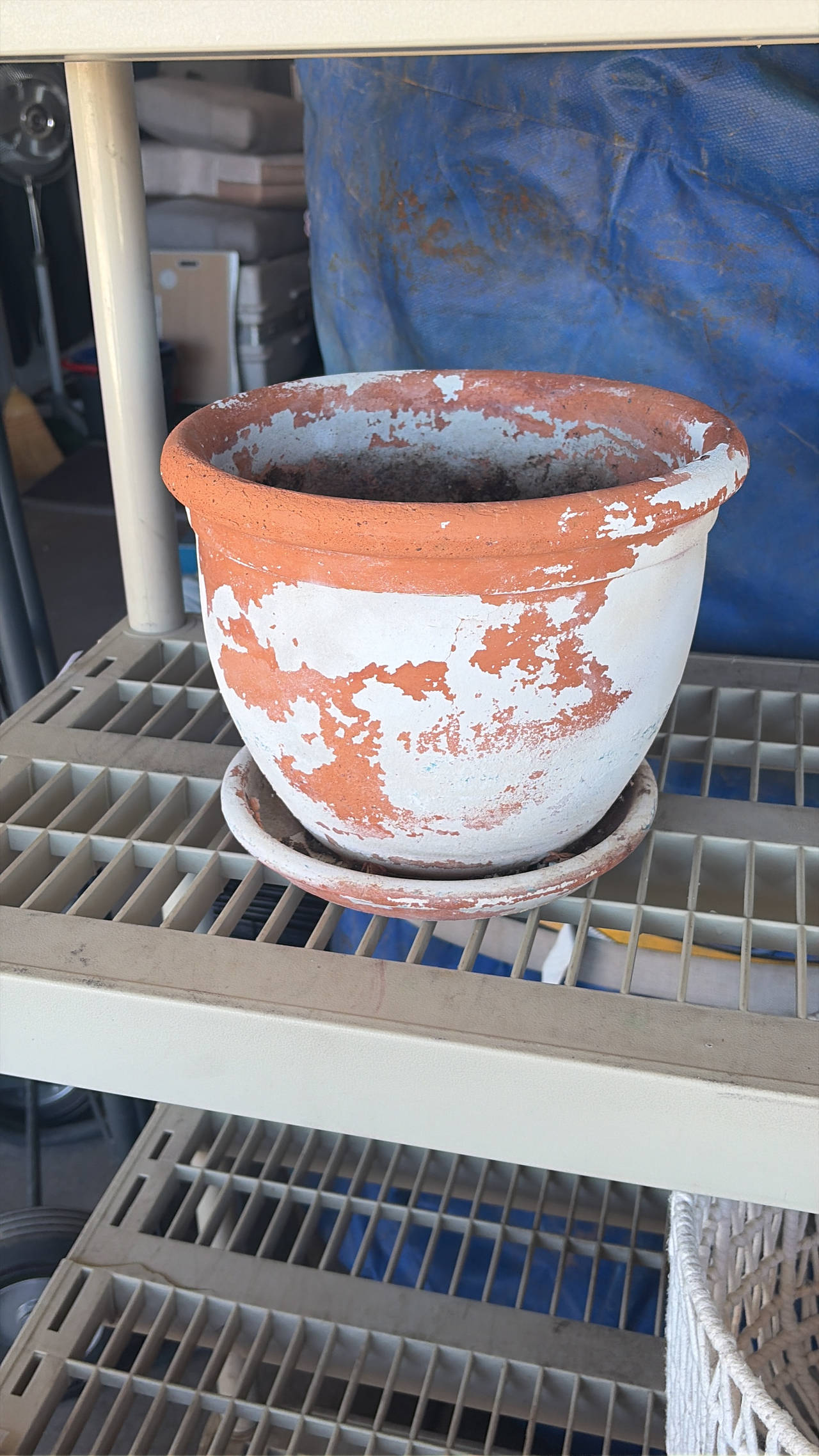 Distressed Terracotta Flower Pot with Saucer