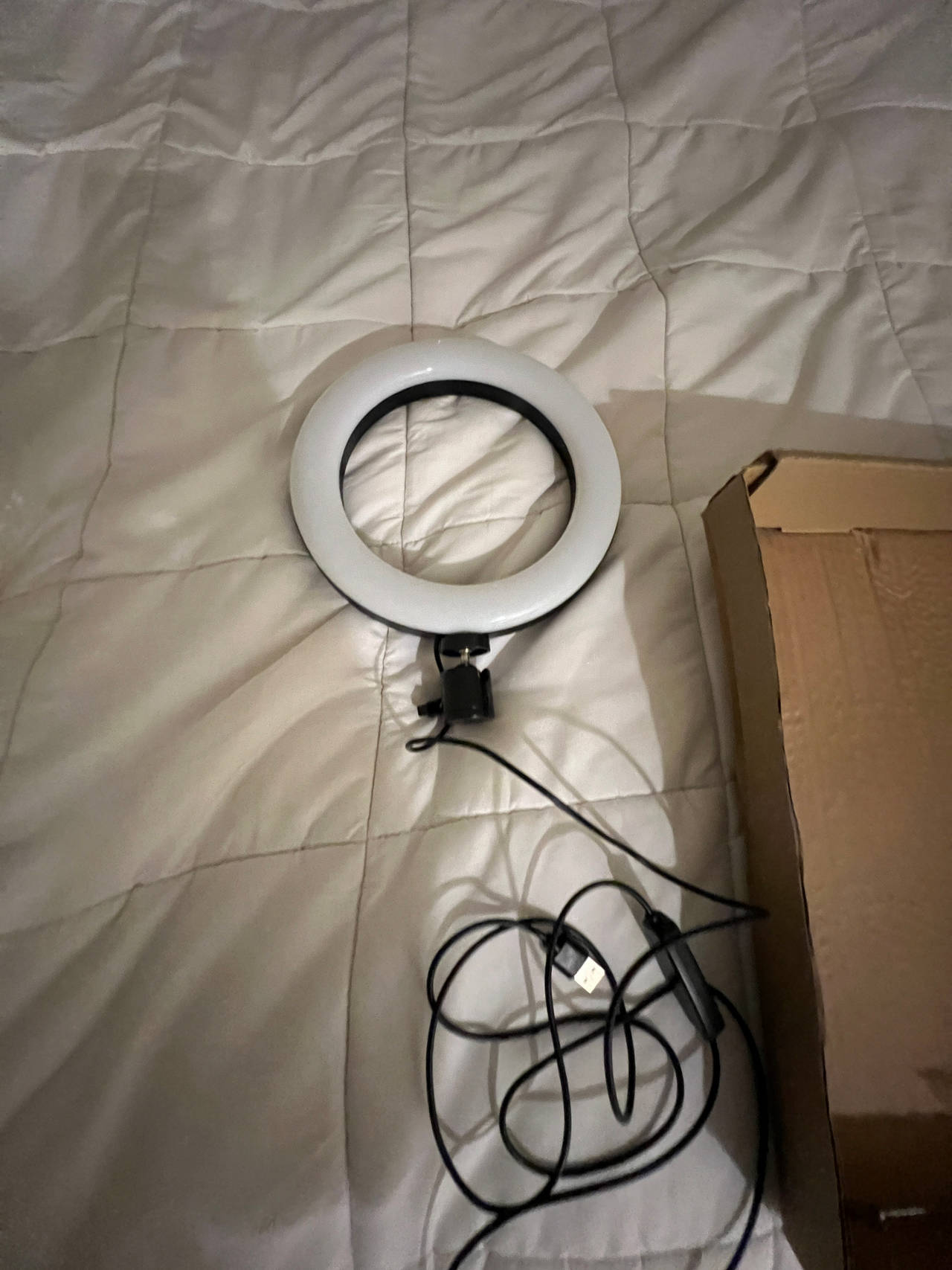 LED Ring Light