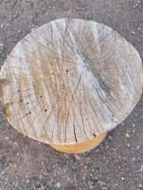 Wood Log Stump house decoration - Image 4